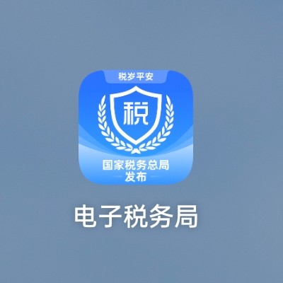 电子税务局app