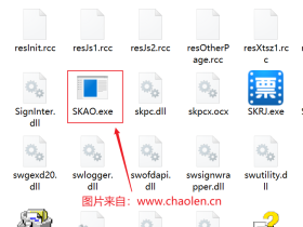 SKAO.exe是什么应用程序，可以删除它吗？